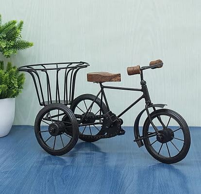 Handmade Miniature of Metal Cycle Flower Pot Stand Design, Showpiece For Decor